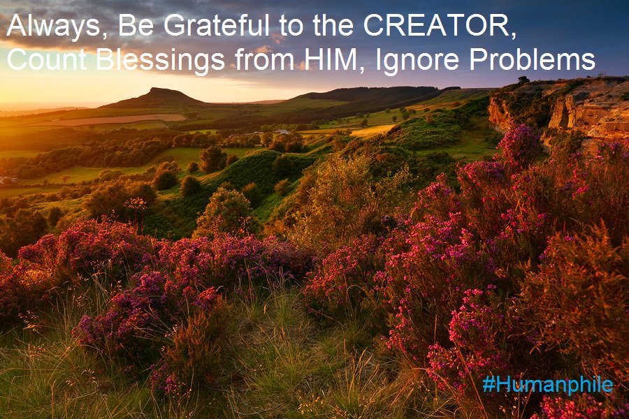humanphile_'s tweet photo. #Always Be #Grateful to the #CREATOR
#Count #Blessings from #HIM and #Ignore #Problems
Sincerely,
#Humanphile https://t.co/lK0ANnywNr