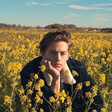 hot or not tweet media