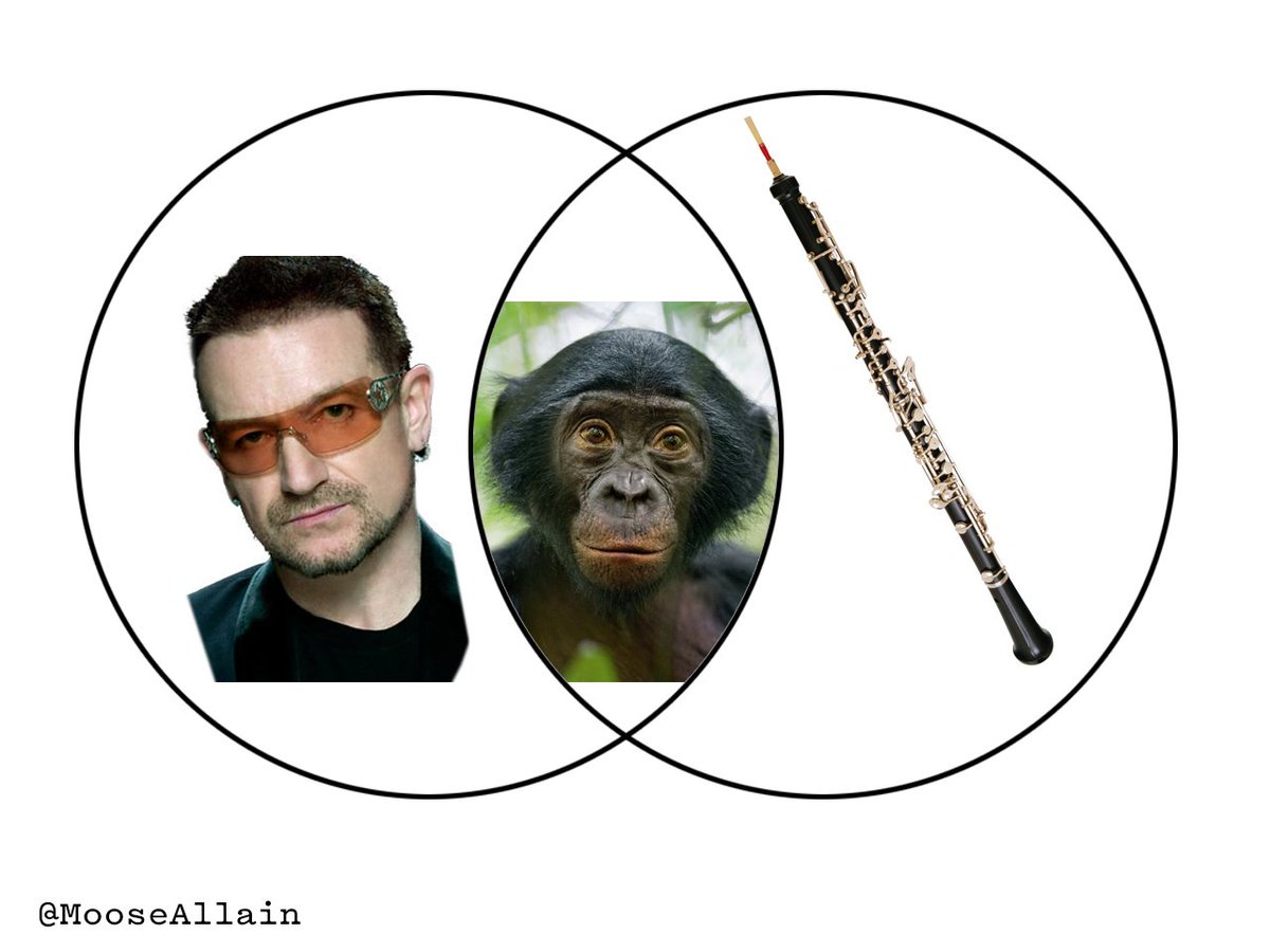 Bono Venn