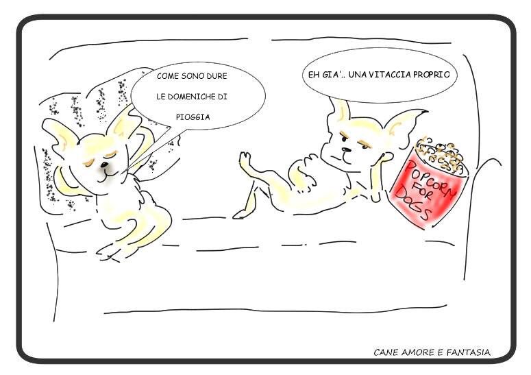 caneamoreefant's tweet photo. #pioggia #domeniche #divano #ilmioesordio2016 @ilmiolibro https://t.co/4oYMJkf2Uo