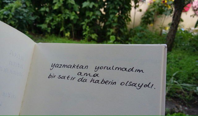 Yak Aga Yak (@ykagaa) on Twitter photo 