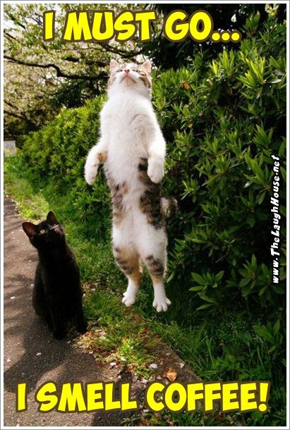 You never know when a neighbor will drop by
SOoooo ...
make sure you have a pot of #coffee ready!