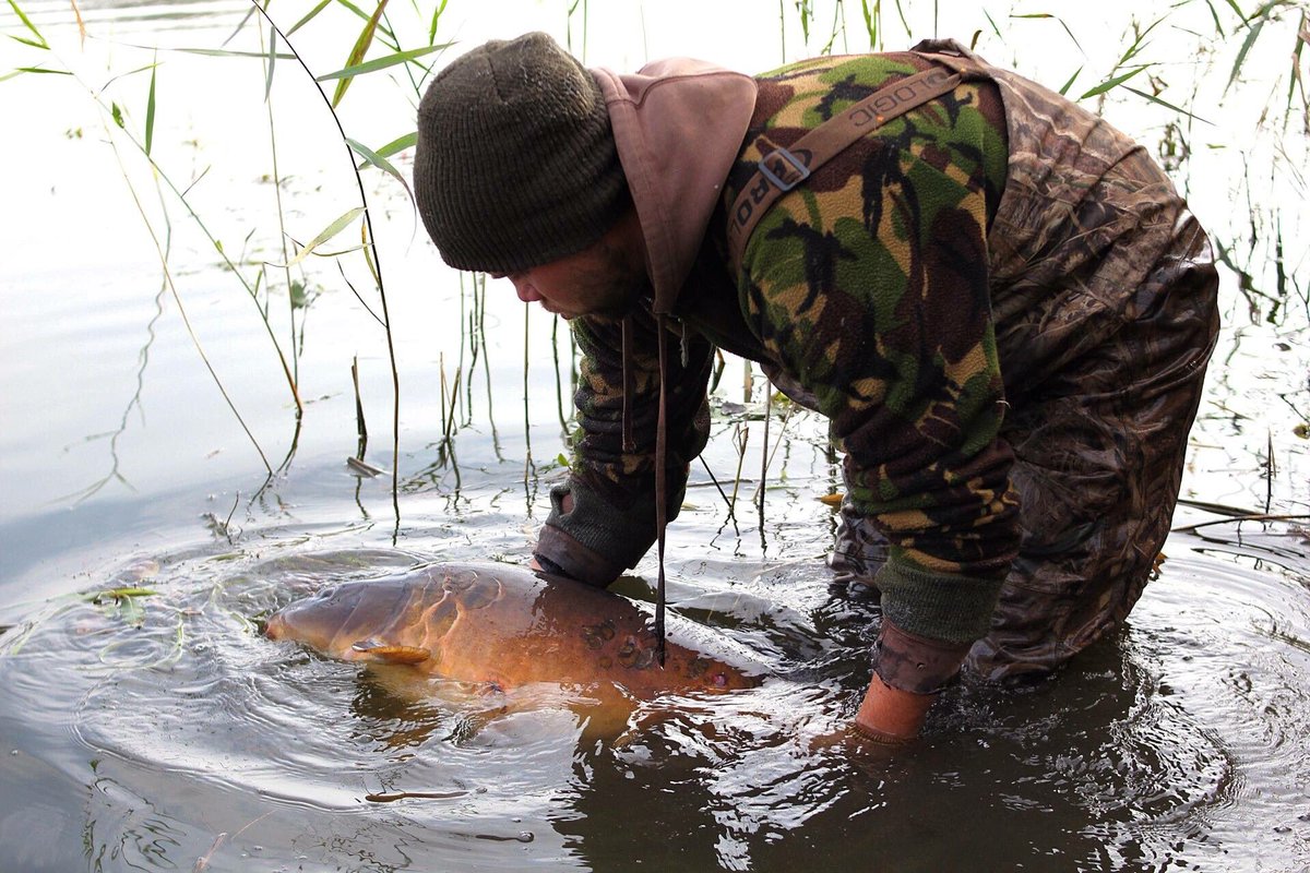 Liam Duncan returning another Manilla culprit...#Manilla