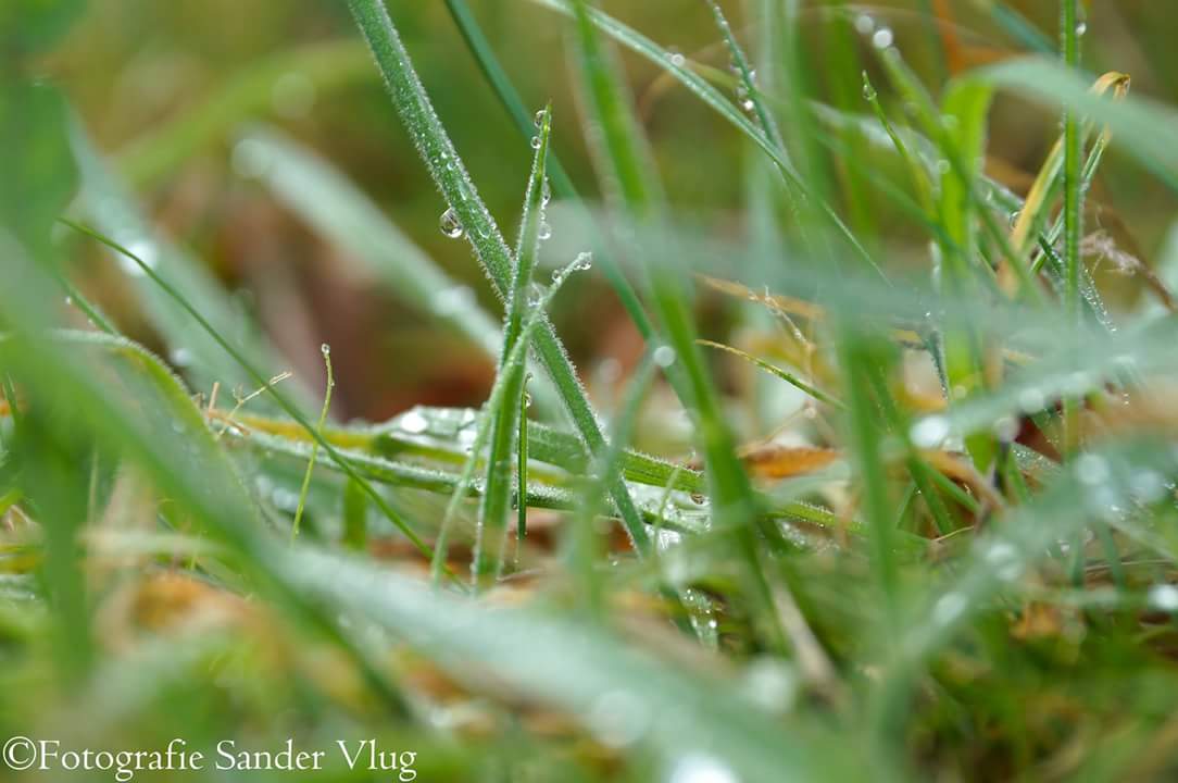 fotografiesv's tweet photo. Pure Nature https://t.co/oo86xWEq2d