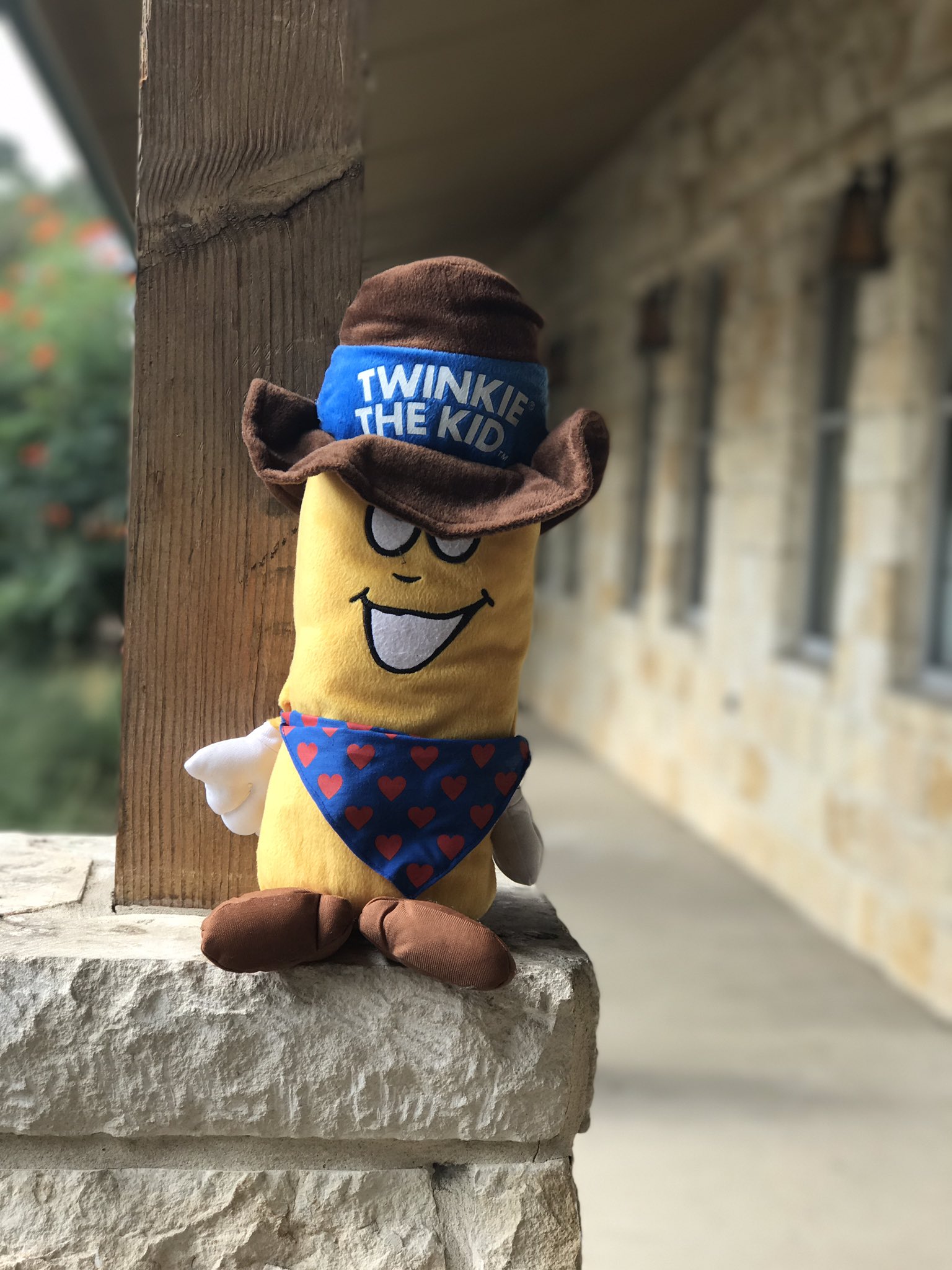 Twinkie the Kid (@TwinkieInNature) / Twitter
