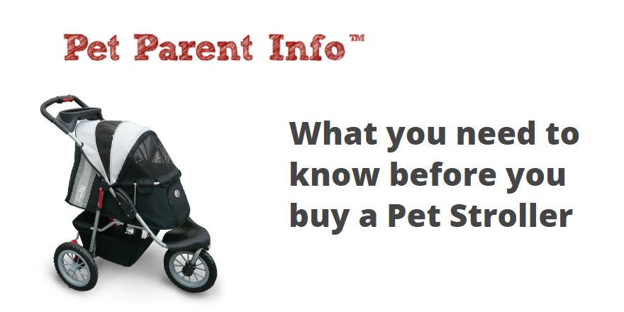 Pet Parent Info tweet media