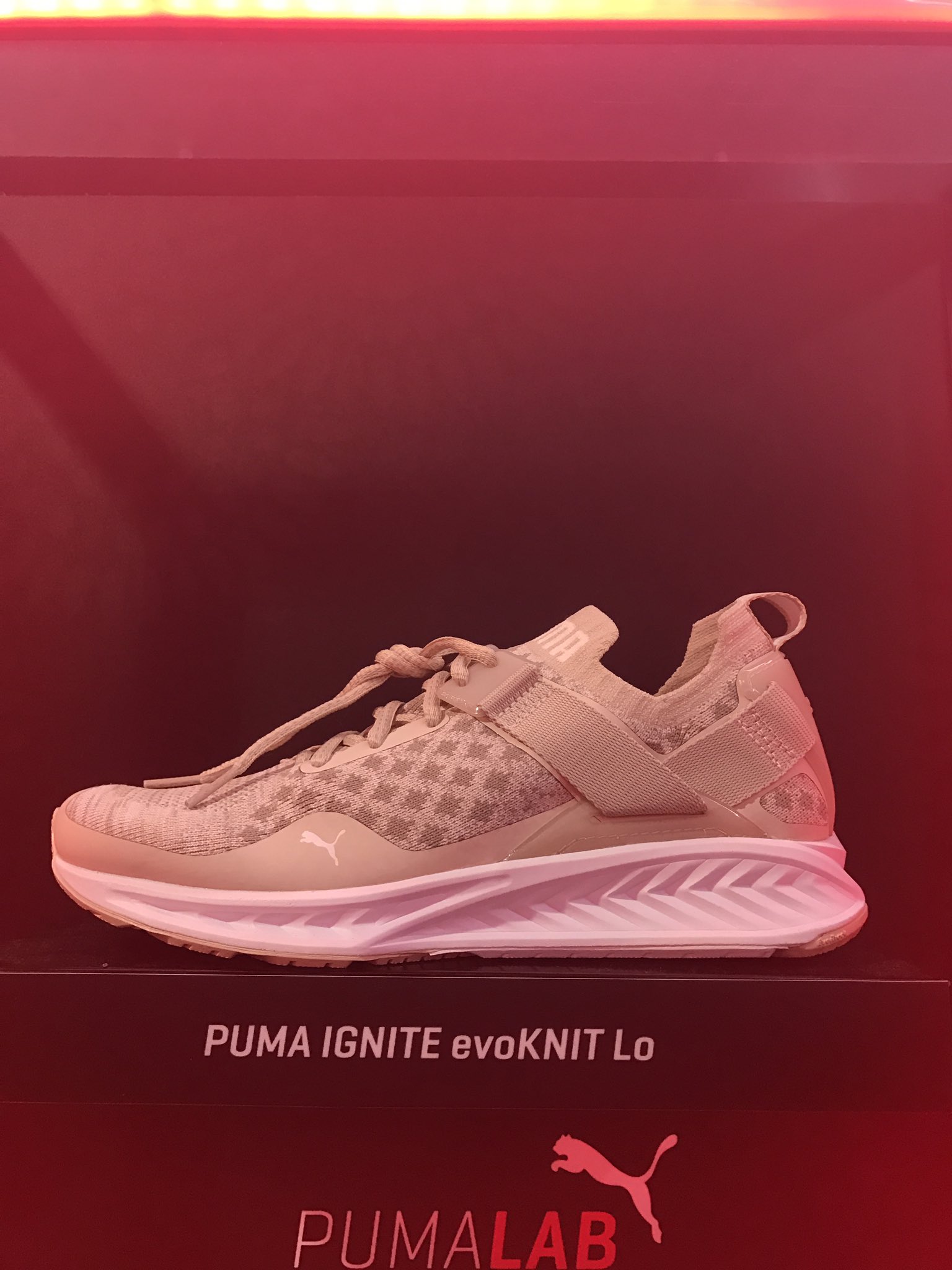 puma ignite evoknit 3 pink women