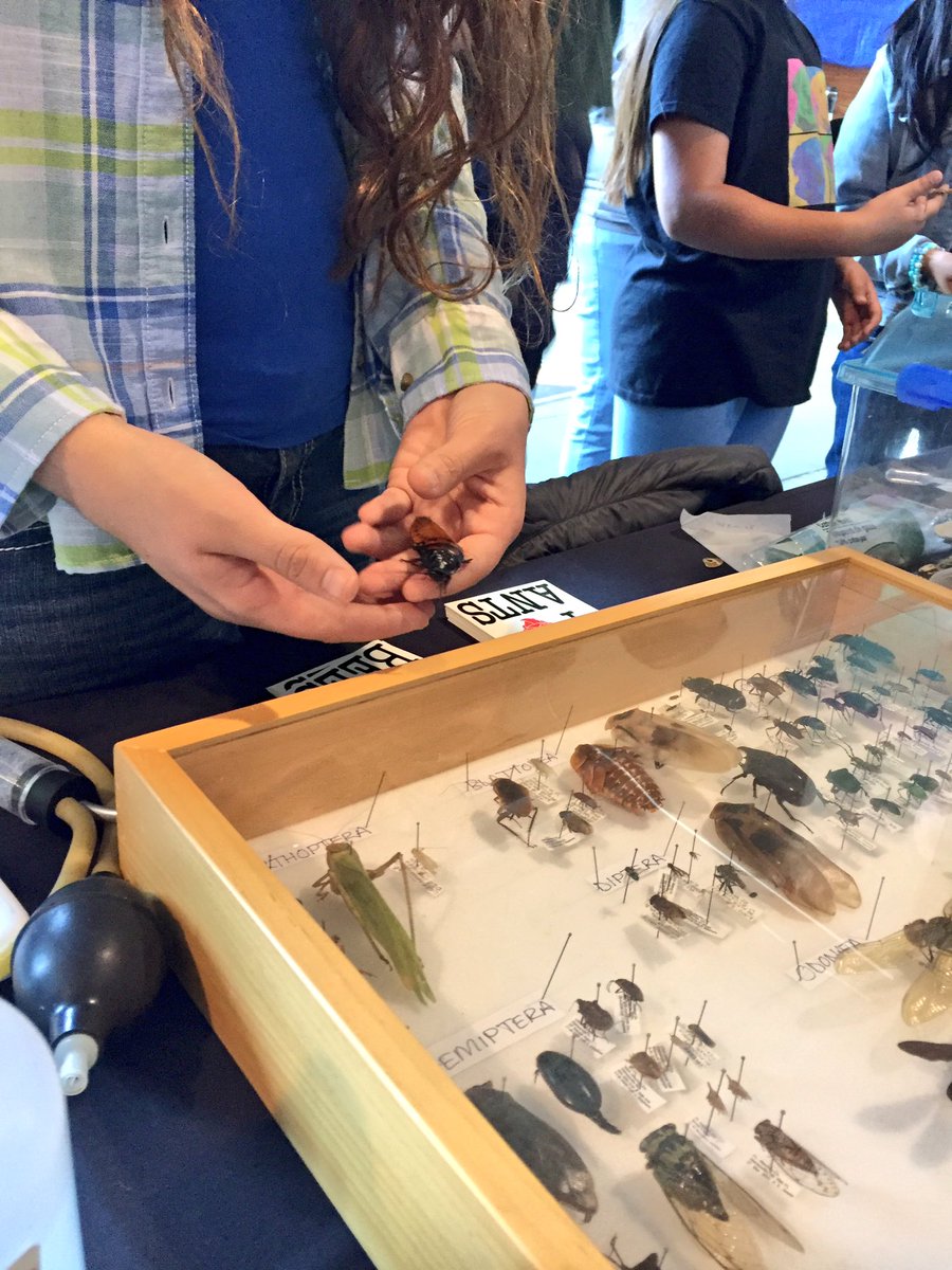 ScienceAtCal's tweet photo. Brains, Bugs, Virtual Reality! #basf16 #innerscientist @bayareascience #UCberkeley https://t.co/LzLU0zZ6Po