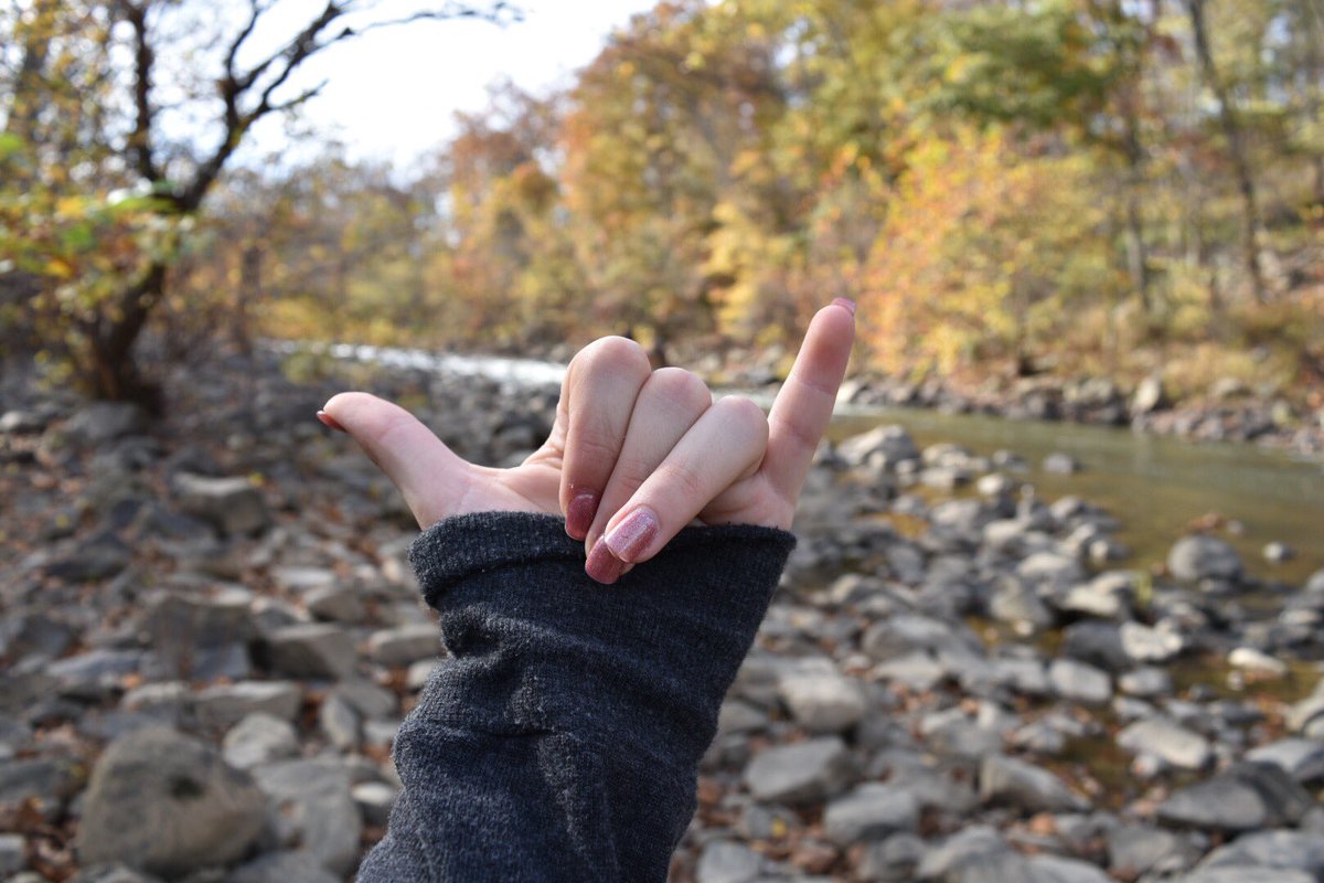 HerdmanHunter's tweet photo. adventures with @NatalieCanan @emma_kroll https://t.co/JvbIC2rybe