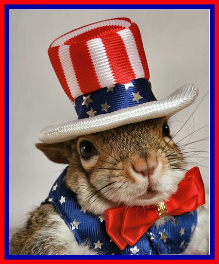 secretsquirrel's tweet photo. When casting your vote, put your career first and vote for #SecretSquirrel2016 https://t.co/Po5A3nCSfy
