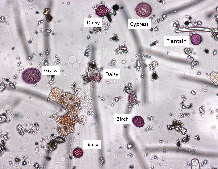 ABC Melbourne tweet media