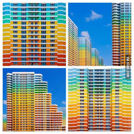 Lila Lester tweet media