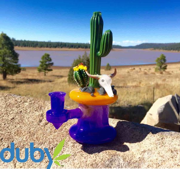 dubyapp's tweet photo. Have you ever smoked out of a cactus?🌵💨
#shattergod on the Duby App https://t.co/otMPdWP8rG