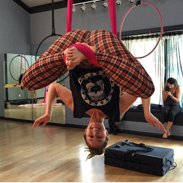 JuliaBellmont's tweet photo. Oh you know, I'm just hanging around 🐒 https://t.co/akv1GIFeLG