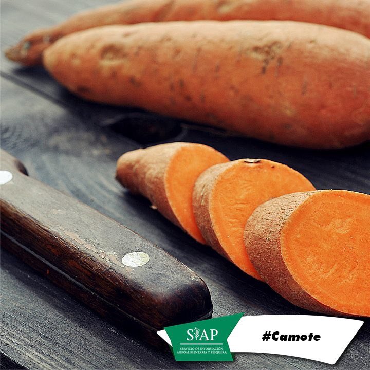 DGSIAP_Mx's tweet photo. Este #tubérculo, de alto #ValorNutritivo, #previene el #CáncerDeEstómago, las #EnfermedadesDelHígado y #retarda el #envejecimiento. https://t.co/gxk8ESMknx