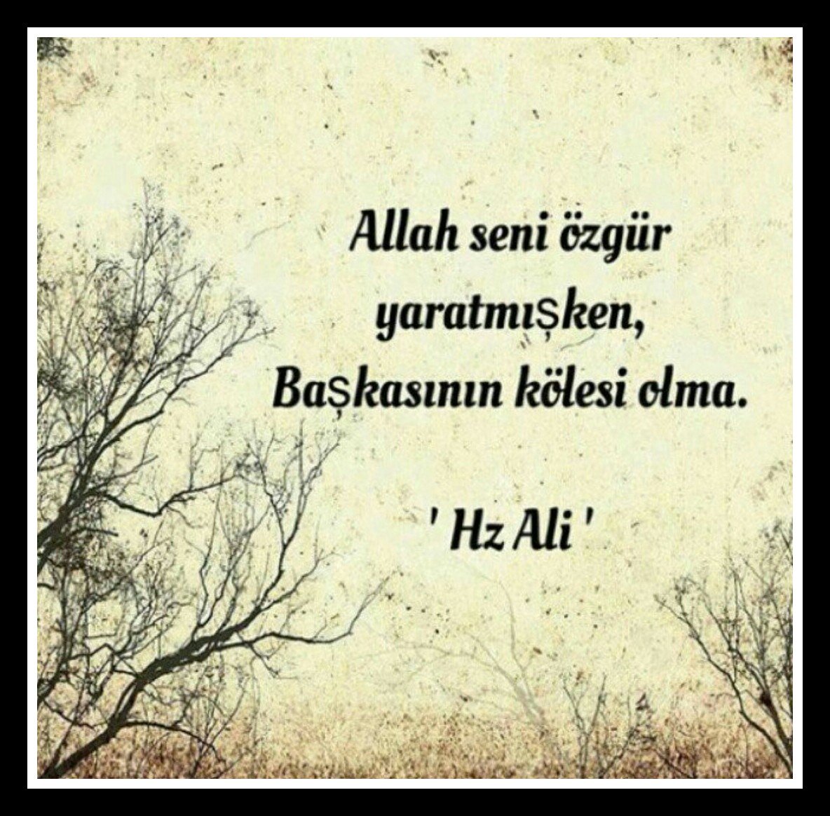 99Hazine's tweet photo. Allah seni özgür yaratmışken, 
Başkasının kölesi olma.
"Hz.Ali" R.A 
#99Hazine 
#Dua https://t.co/3Jj9lUZvNv