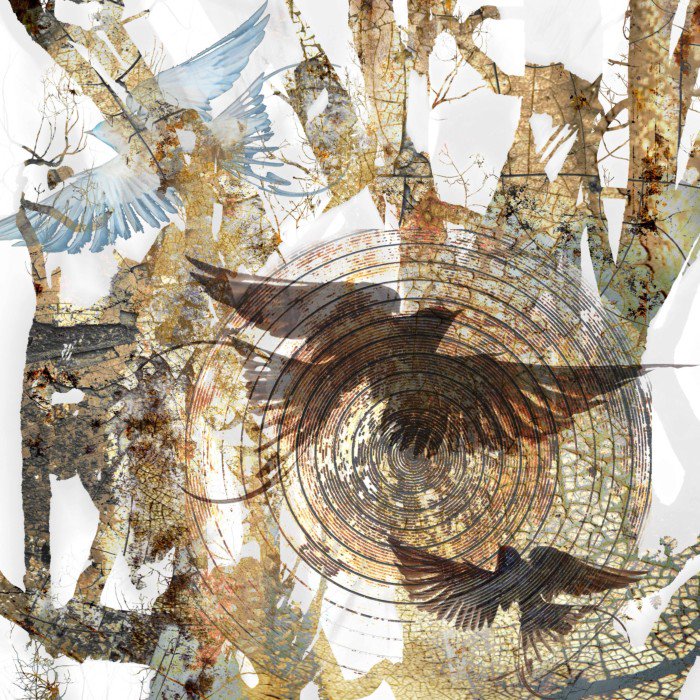 "Rise" photomontage by Steven Irwin <a href="/photomontageart/">steven irwin</a> artofday.com/wordpress/?p=7… #TwitterFirstFriday #birds #surreal