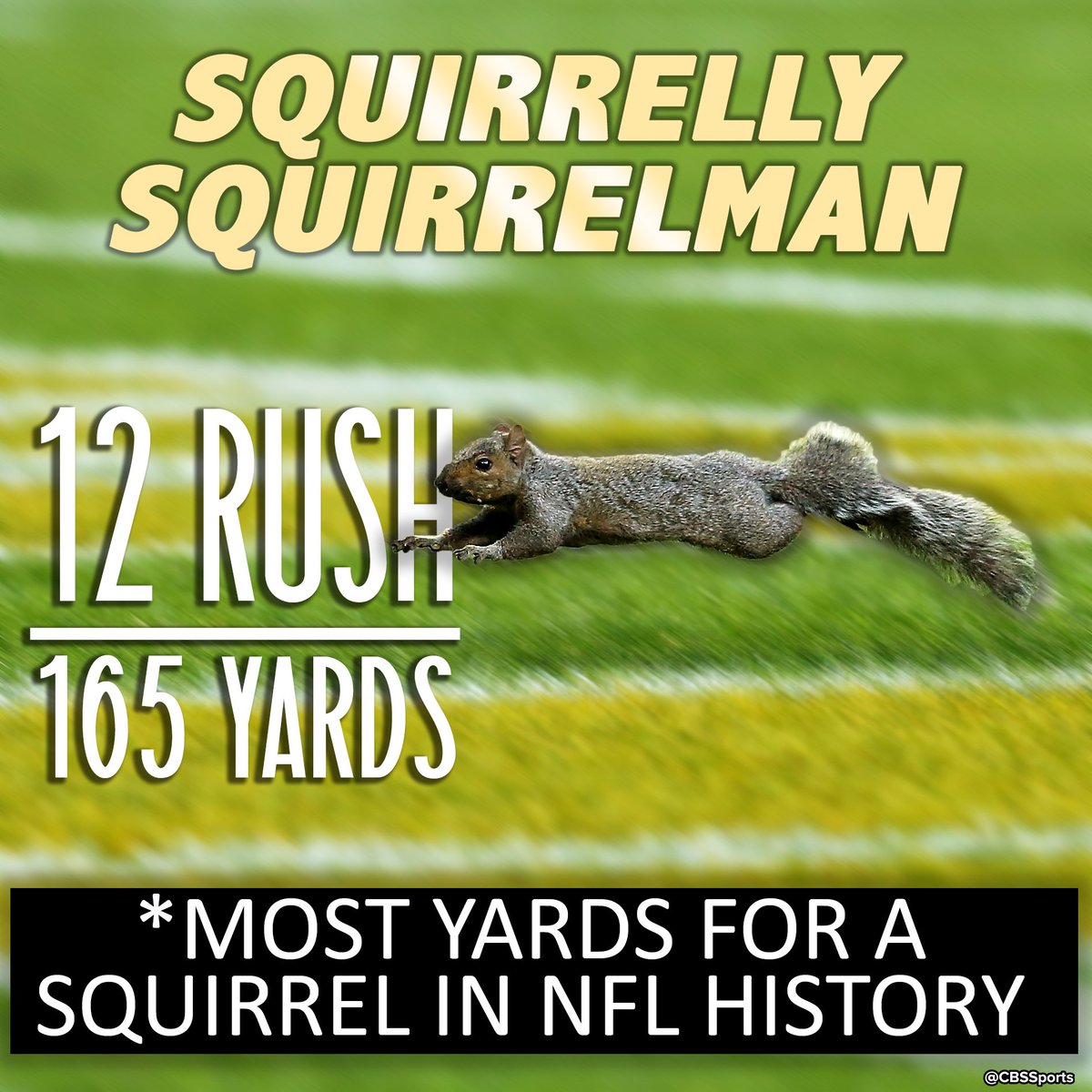 CBSSports's tweet image. You won't see a more impressive performance from a squirrel in your lifetime.