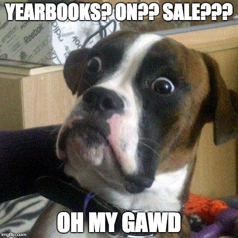 boonepubs's tweet photo. Yearbooks are on sale this Tuesday through Thursday during both lunch shifts. Get yours for $70 by mentioning this tweet #Legend2017 https://t.co/NxMJjJhruL