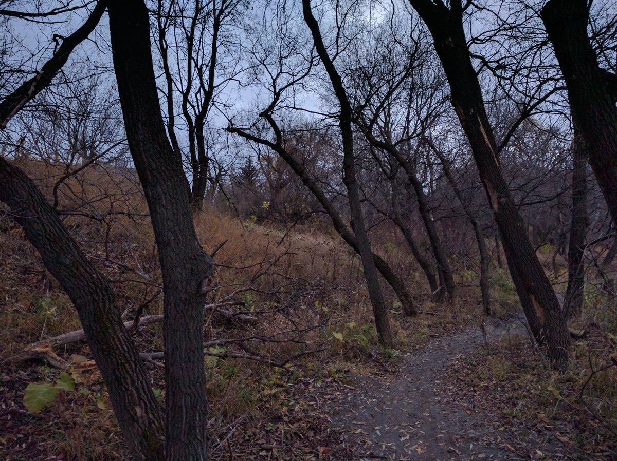 MusqudoboitMike's tweet photo. Amazingly it is still fall here in Manitoba. Takin advantage with many adventures. #FallRunningAdventures https://t.co/nggEUT2mee