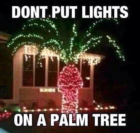 machinegunbebe's tweet image. 