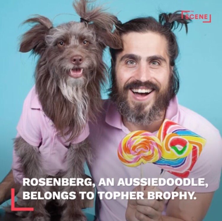 Poppy_MindDogAU's tweet image. Rosenberg is an #AussieDoodle ❤ we #Follow #topherbrophy 👌 on #Instagram