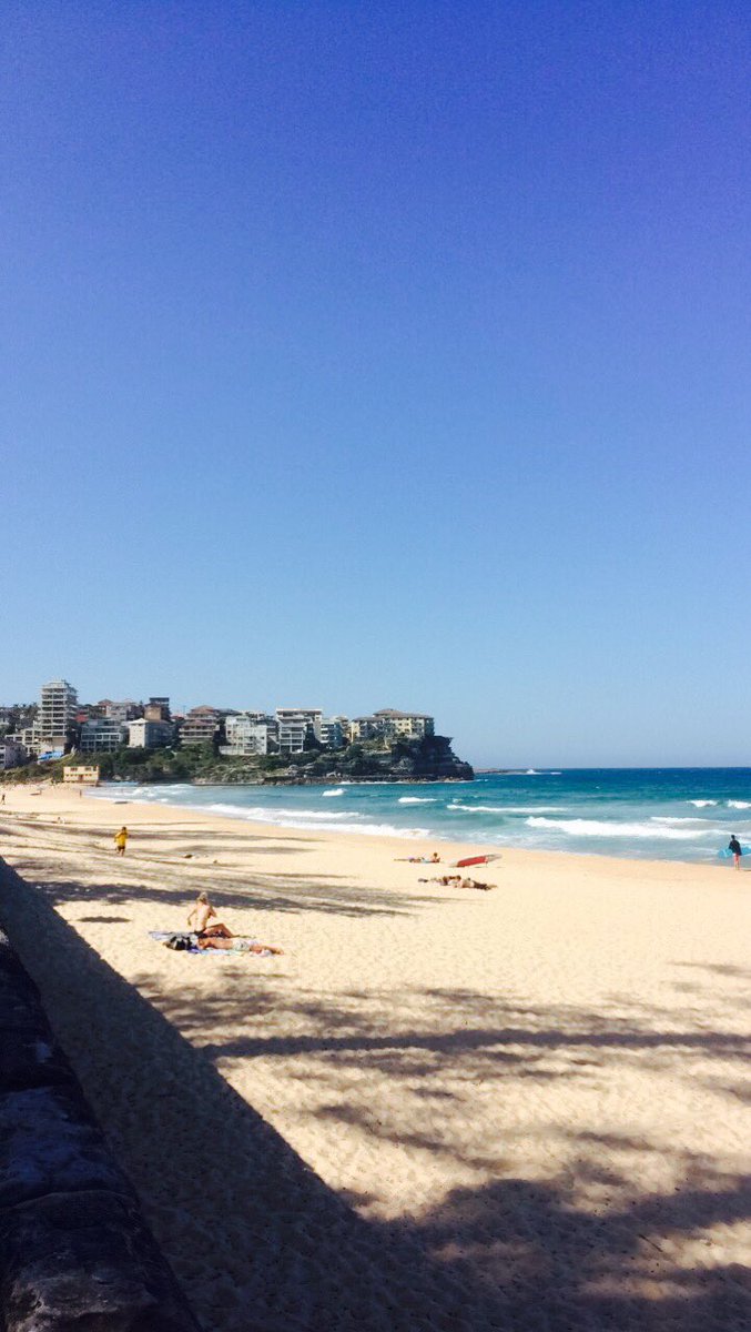 marksglobe's tweet photo. 📸 Manly Beach, Sydney. https://t.co/sZxOKb2be5