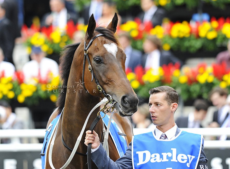 What a shame he's such a well loved horse... injury sidelines <a href="/LankanRupee/">Lankan Rupee</a> get well soon and see you back next year.
