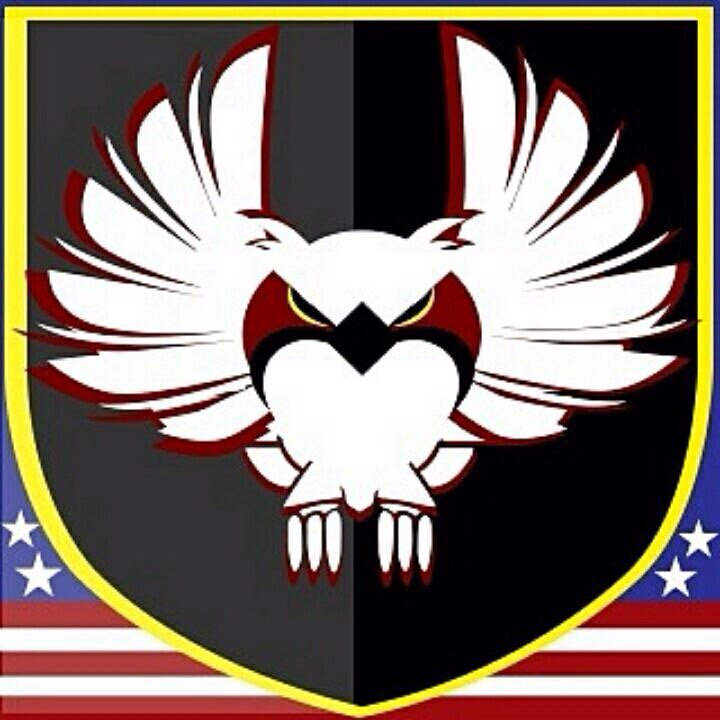 ✨🎂Chillin, relaxing, chillout together with #liveme Owl Forcier🦄🇺🇸:   liveme.com/media/play/?vi…