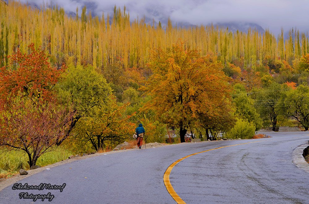 TheAceStar's tweet photo. #Walk #Autumn #Hunza #HunzaValley #GilgitBaltistan #KKH #Karakoram #Highway #Pakistan #BeautifulPakistan #ontheroad #Travel https://t.co/8XoSBkaNe0