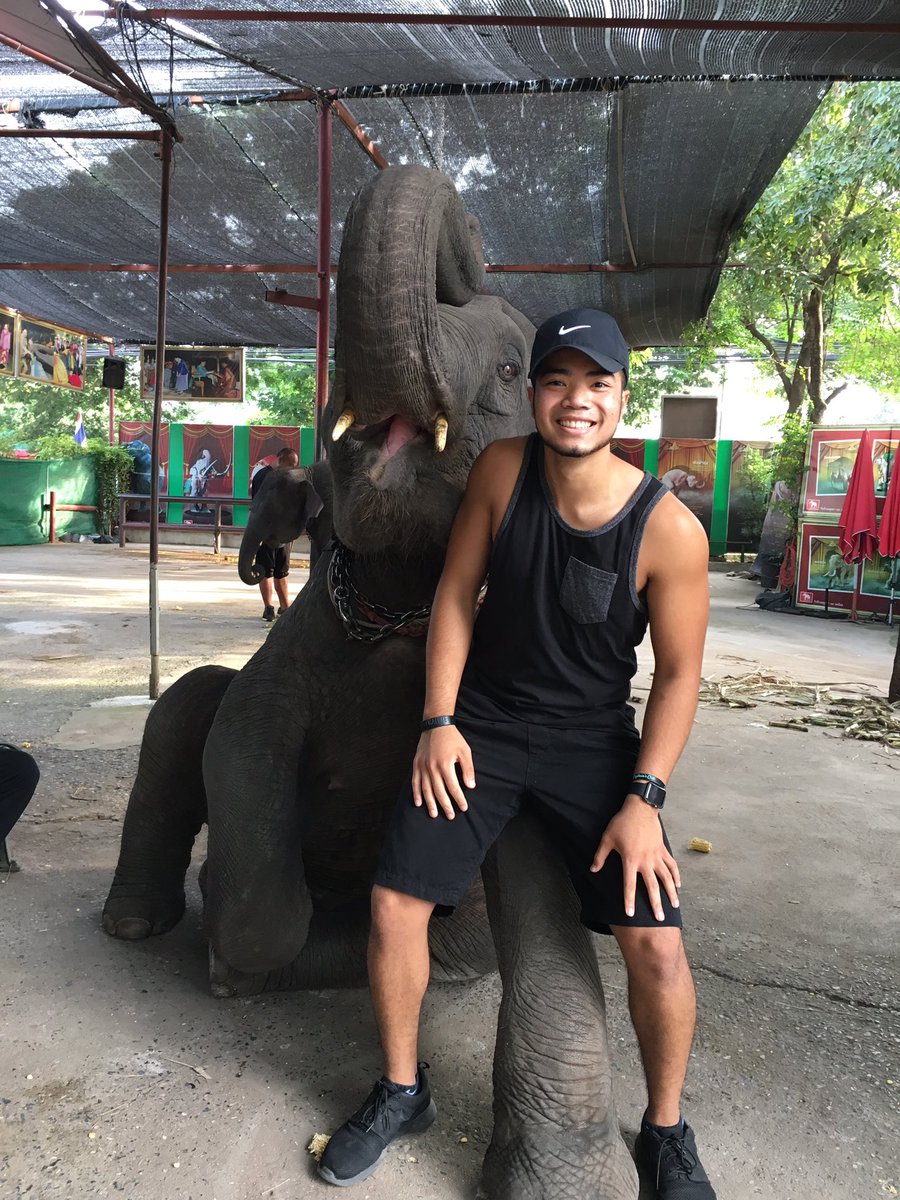 Netwijit23's tweet photo. When you tell an elephant to "hug" and "smile" this is what you get 🐘😂 https://t.co/FaN5TGHnxw