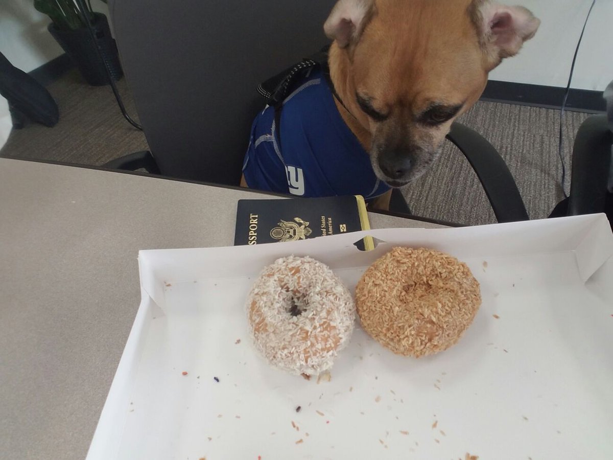 DoseOfDante's tweet photo. Meh. This #Sk8rPuggle's passport ready cuz neither of these orange or white candidates seem appealing &amp; they're both hollow! #decisions2016 https://t.co/OHMi0AtlC1