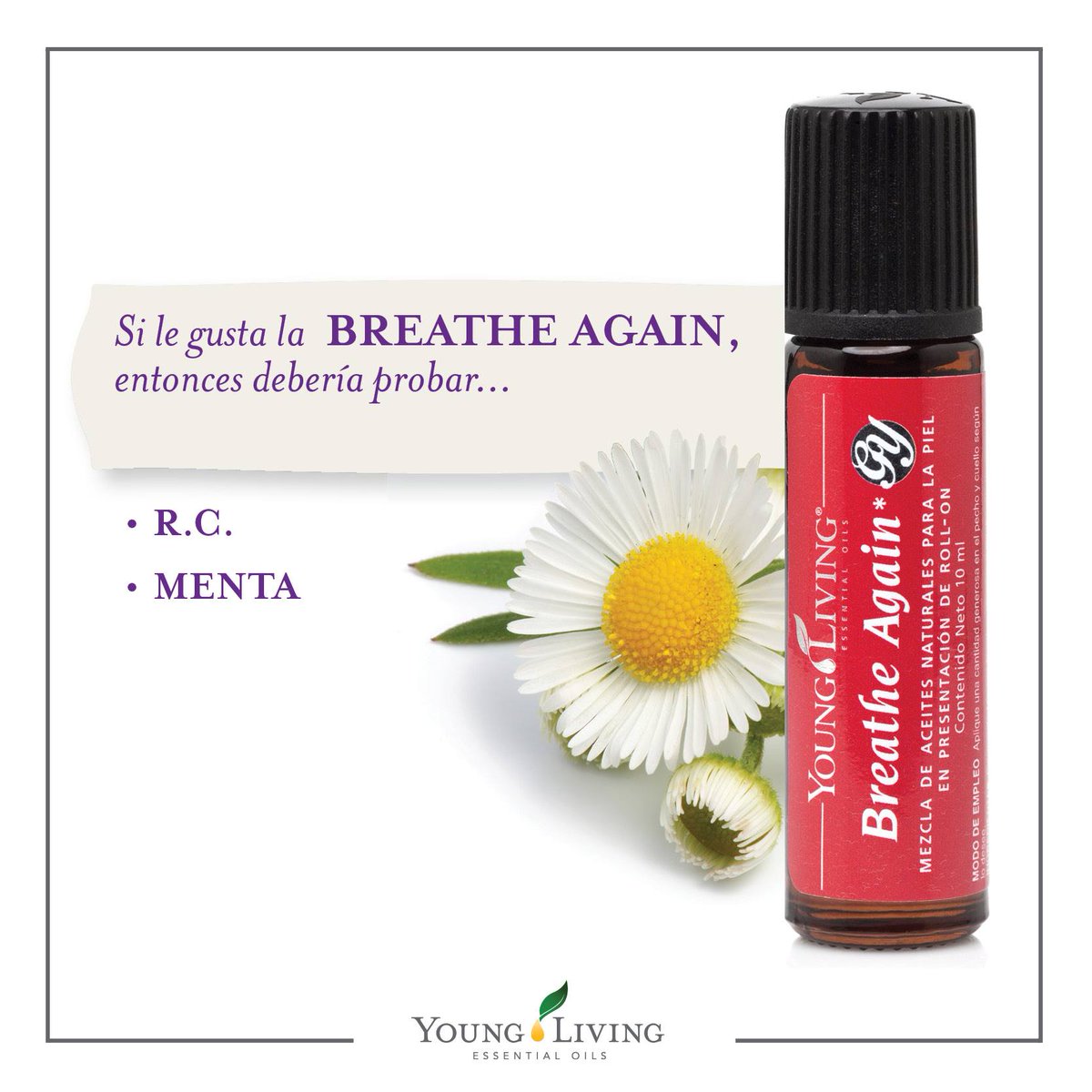 aroma_store's tweet photo. #FelizMiercoles Si desea apoyar el sistema respiratorio debería conocer el #BreatheAgain #aceitesesenciales #YoungLiving https://t.co/esOPgaspEk