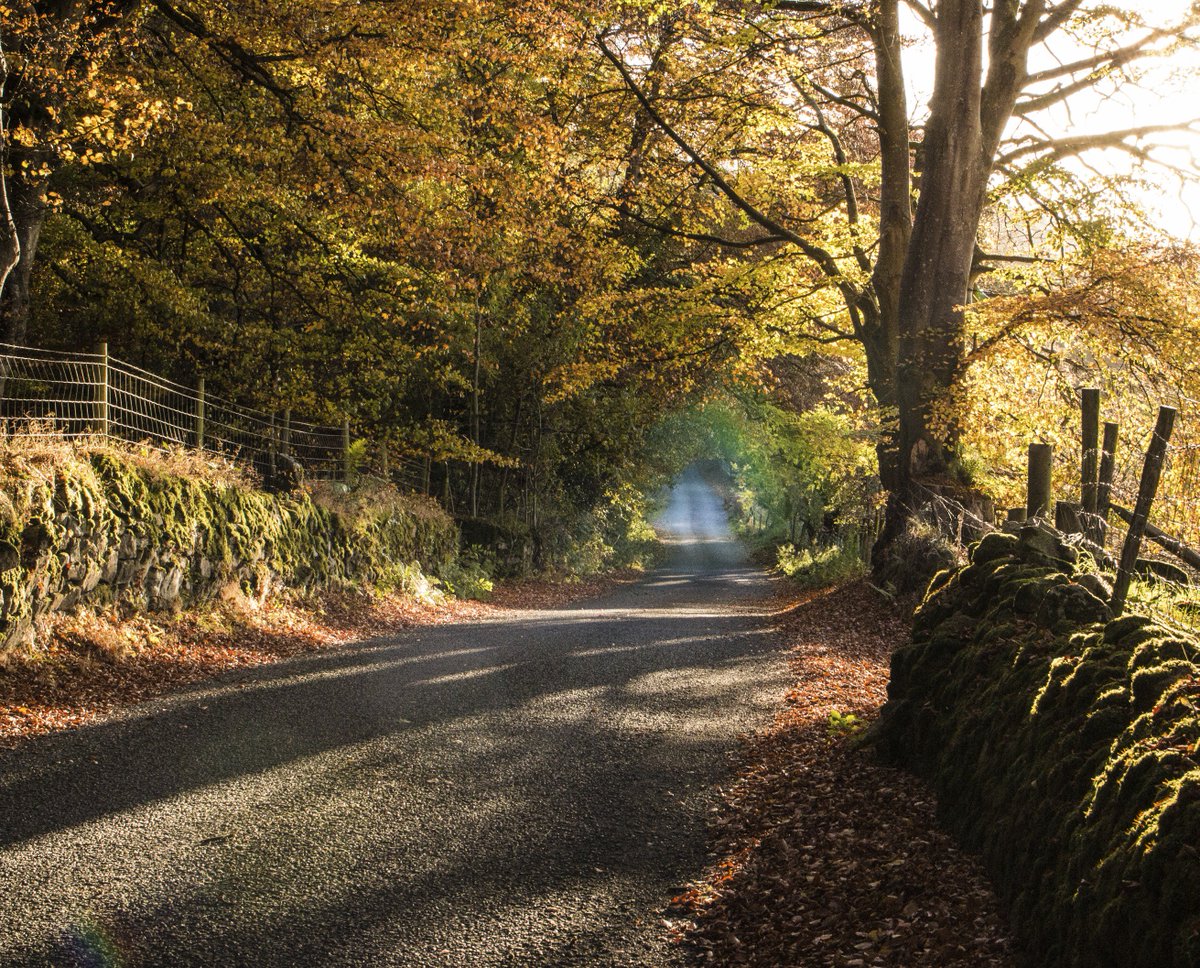 a7exandre's tweet photo. Road trips in November - falls colours are still around! https://t.co/qDMy8QLbng