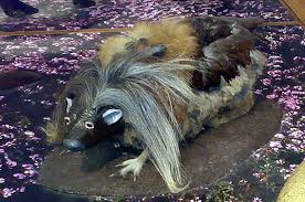 野生のハギス Wild haggis JapaneseClass.jp