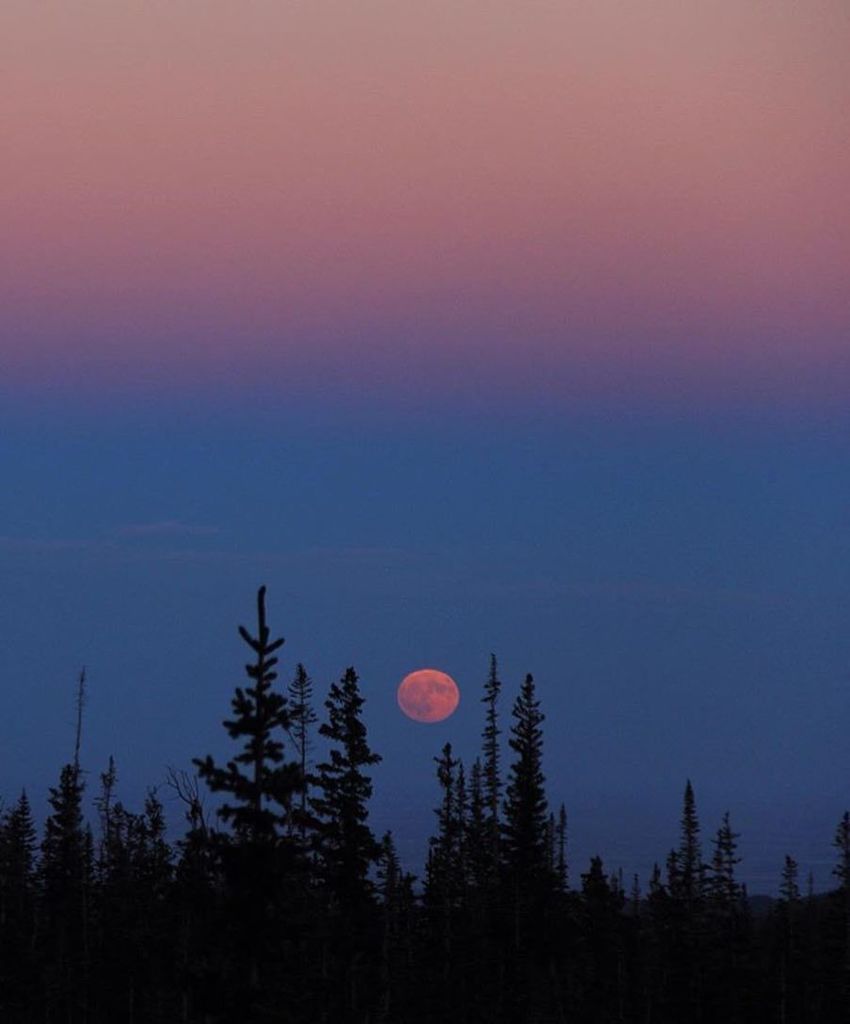 Guide_Hire's tweet image. @nate_pearson captures a lucid moon in the Colorado High Country...
#GuideHire | #WeKnowAG… ift.tt/2eNeJKI