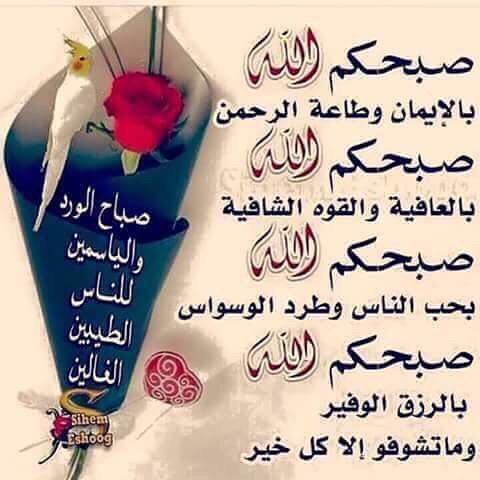 اللهم صبحنا صباحًا تنفرج فيه الهموم، وتنشرح فيه الصدور، وتقبل فيه التوبة، وتتسع فيه الأرزاق، ويستجاب فيه الدعاء صباح الخير