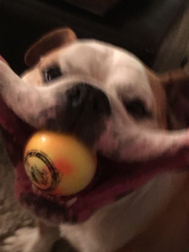 #thejoker