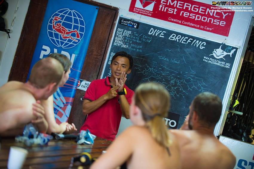 divedownbelow's tweet photo. If the #Ocean is your #Playground, why not make it your #Office? 😉 #GoPor & be a @PADI #Instructor today! #Sabah https://t.co/NagrdOqlbO https://t.co/qZETv0PyM3