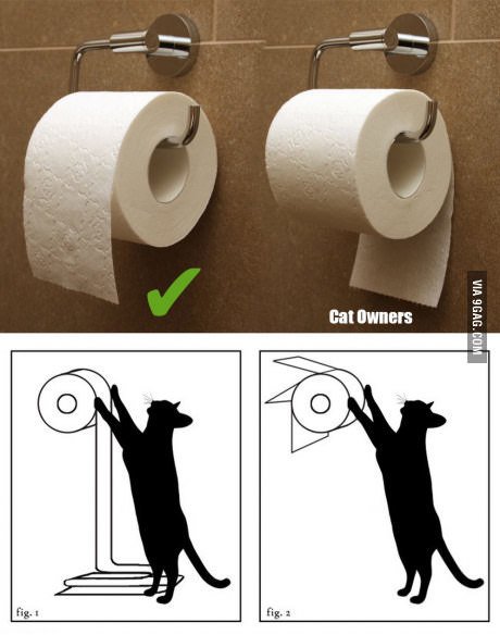 Lila Lester tweet media