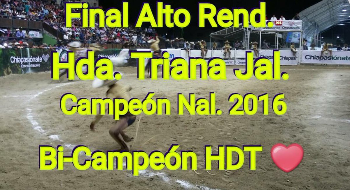 Chiapas2016's tweet photo. Campeones Nacionales de cada categoría del #NacionalCharro2016 #ForoChiapas 
Imágenes @DeCharros_com  @acr_charreria https://t.co/lfF1mnNrX3