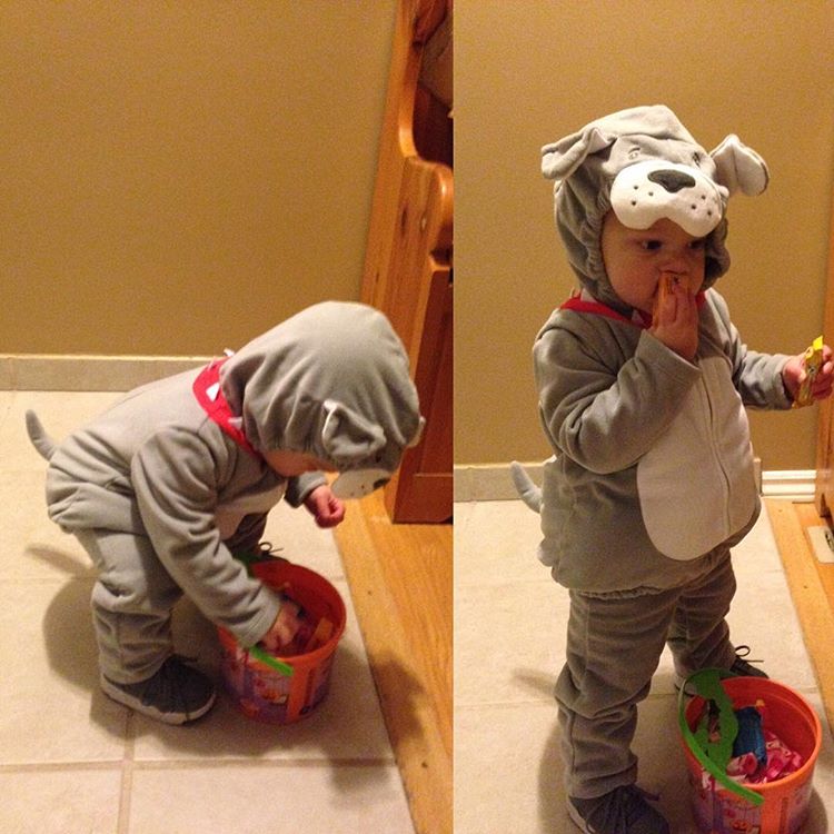 Strictly_Josh's tweet photo. Too cute or what https://t.co/0wGsDEopT7