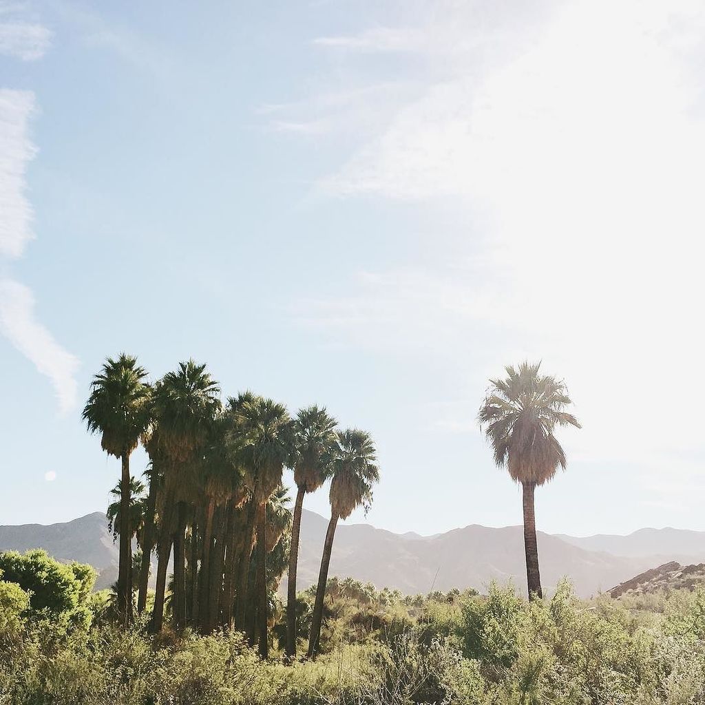 juliamanchik's tweet photo. Sunrise in the desert... worth waking up for. #designervaca https://t.co/oiG7XnYguL https://t.co/wqYHDNGJVI