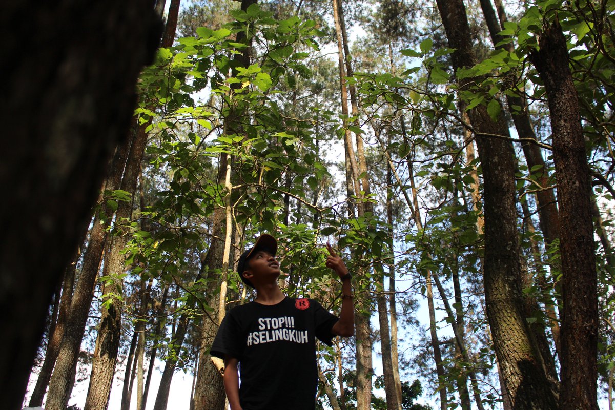 Arief_Rahman889's tweet photo. https://t.co/zaBh2zHa5L