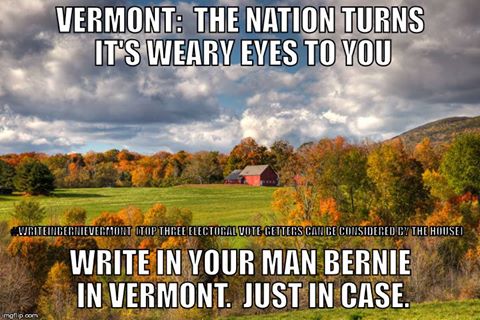 Glertsgal's tweet image. #WriteHimIn block 270 our last chance to vote for our guy, miracles do happen sometimes.