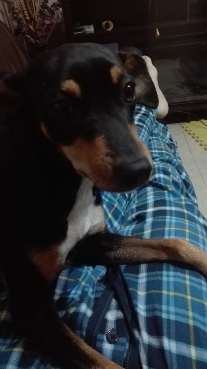 marioherooftime's tweet photo. Lo mejor de mi Servicio Social. #Monqui https://t.co/TfRtvTBFBE