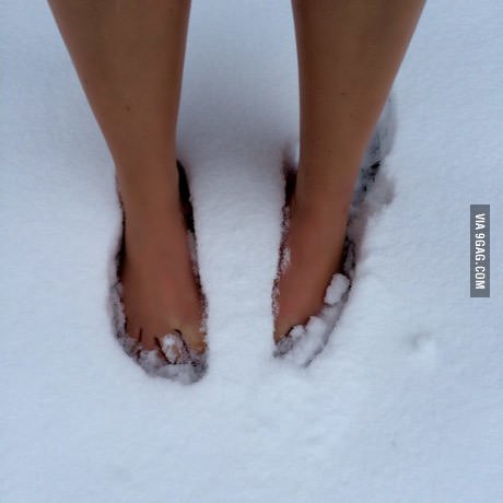 Lila Lester tweet media