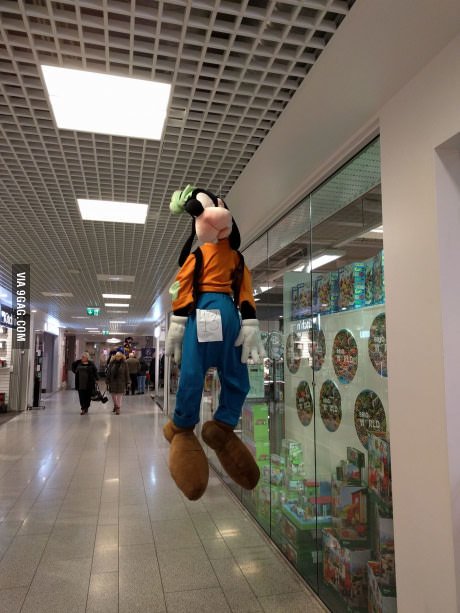 Lila Lester tweet media