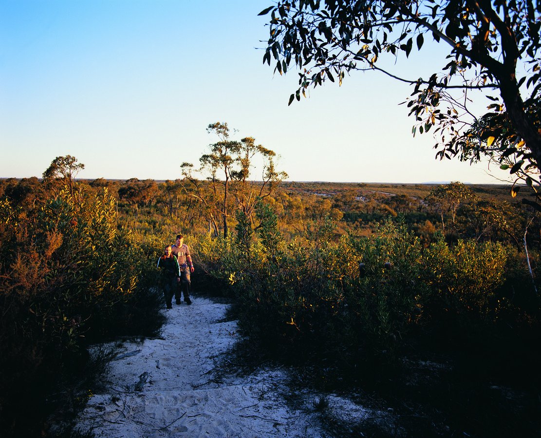 Melbourne's tweet photo. Little Desert National Park: a sweet spot to explore by foot or 4WD. https://t.co/VSeqD12Opd  #wandervictoria @visitgrampians https://t.co/yDOjkUVaVn