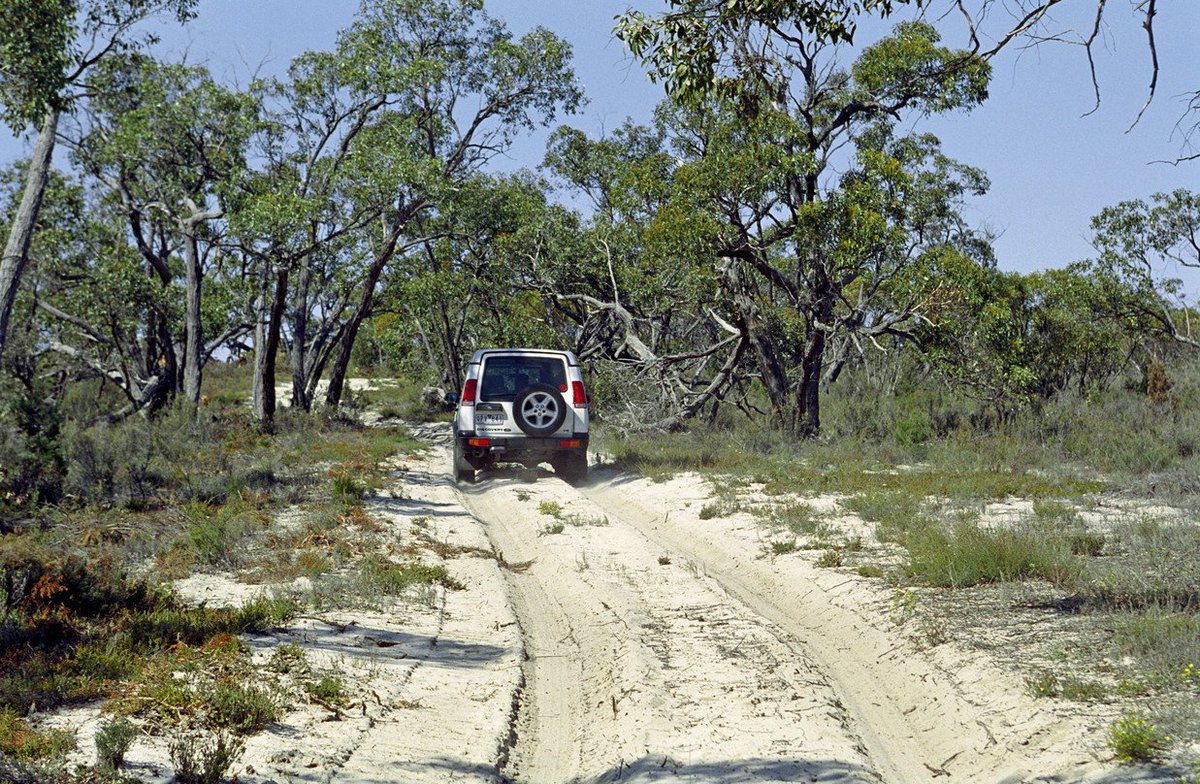 Melbourne's tweet photo. Little Desert National Park: a sweet spot to explore by foot or 4WD. https://t.co/VSeqD12Opd  #wandervictoria @visitgrampians https://t.co/yDOjkUVaVn